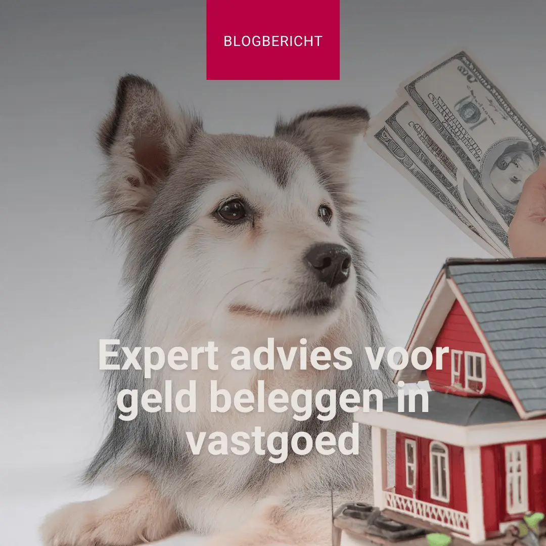 expert advies voor geld beleggen in vastgoed