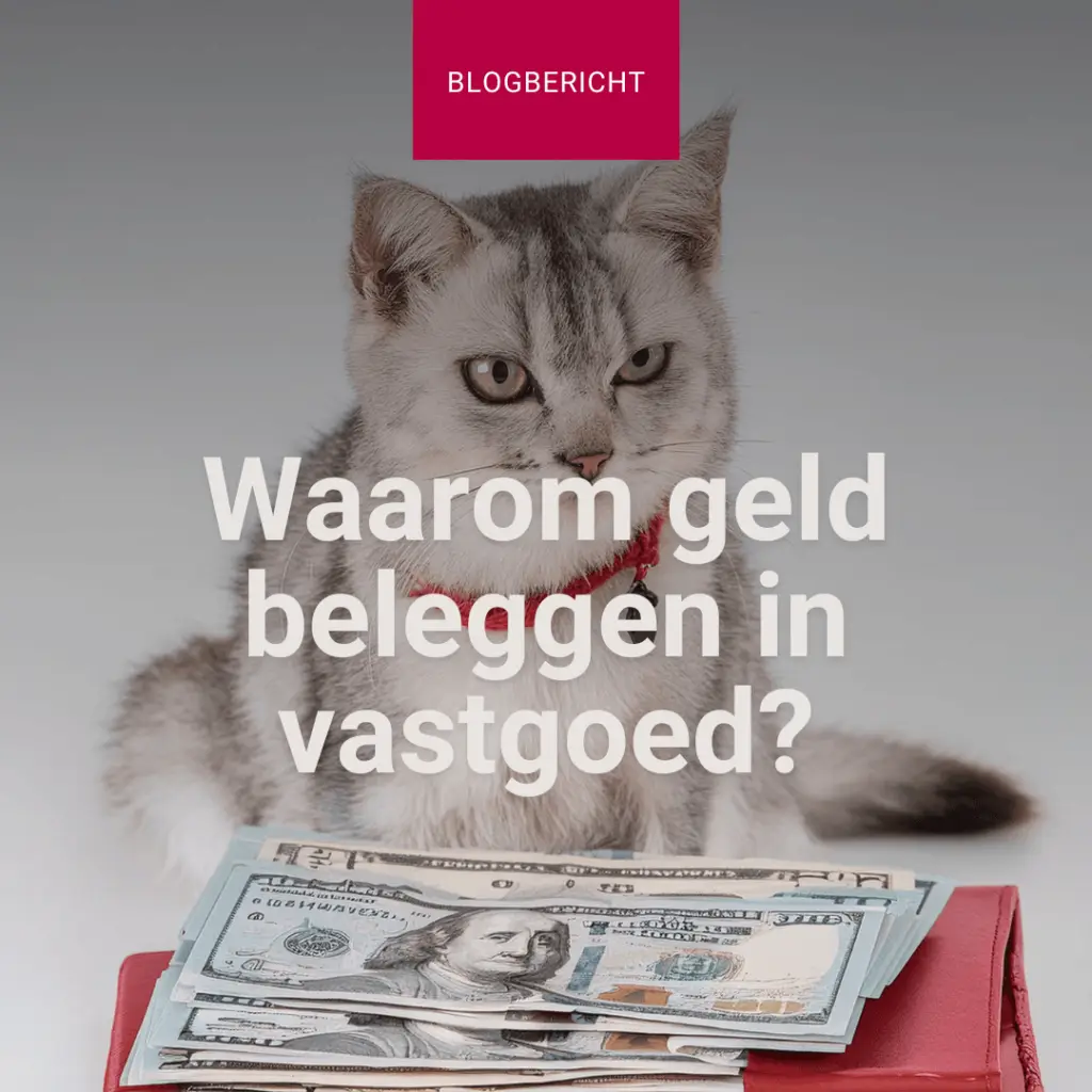 waarom geld beleggen in vastgoed